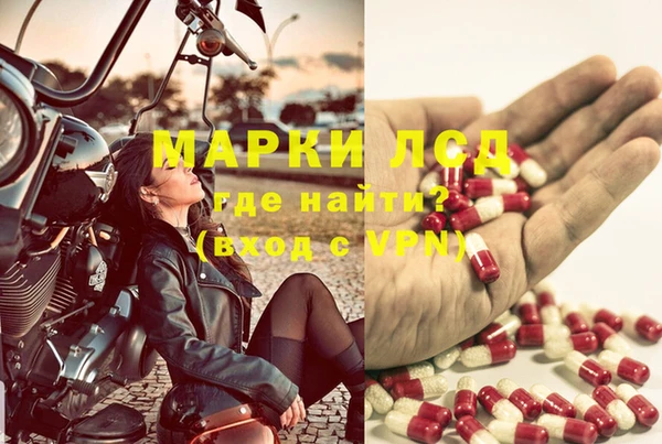 spice Алексин